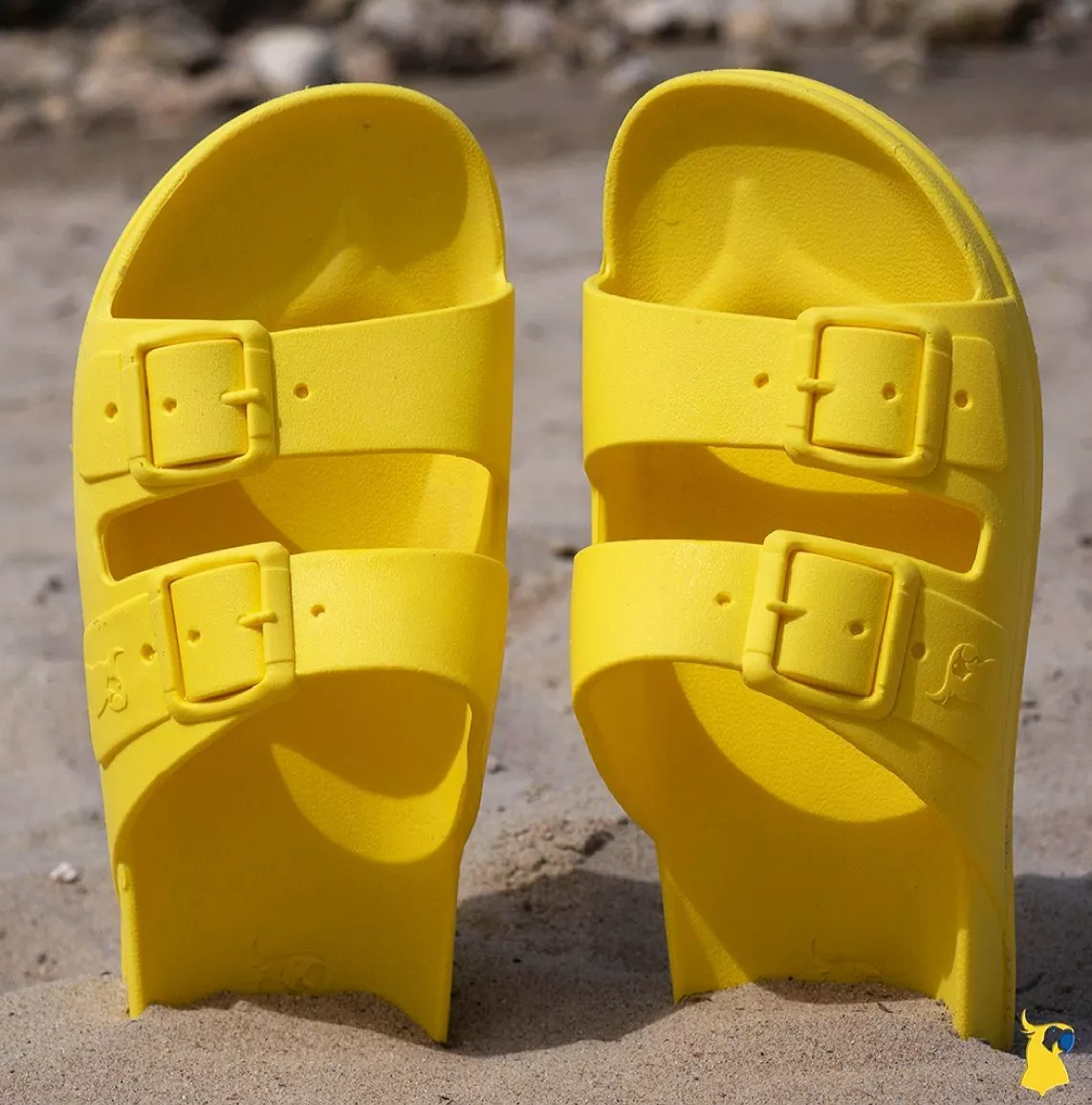 Cacatoès Yellow Fluo Girl's and Boy's Sandals