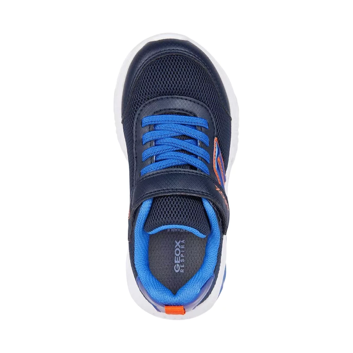 Geox Boys Assister Shoes Navy/Royal Sizes 28-34