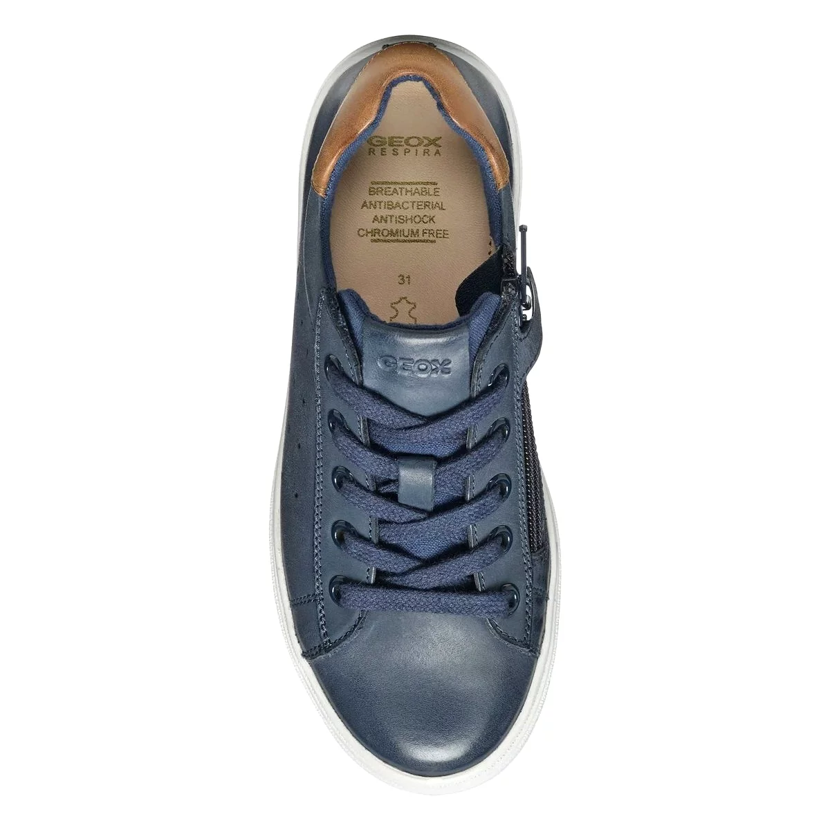 Geox Boy's Nashik Navy/Brown Leather Shoes for Sizes 32-35.