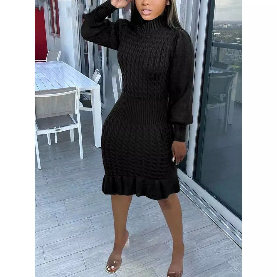 Knit Turtleneck Sleeve Dress