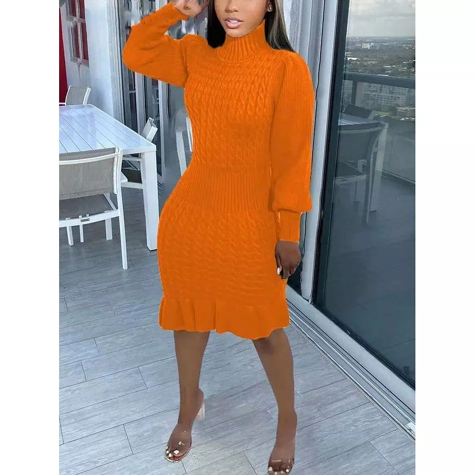 Knit Turtleneck Sleeve Dress