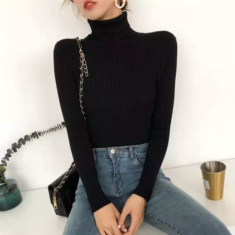 Knit Turtleneck Sweater