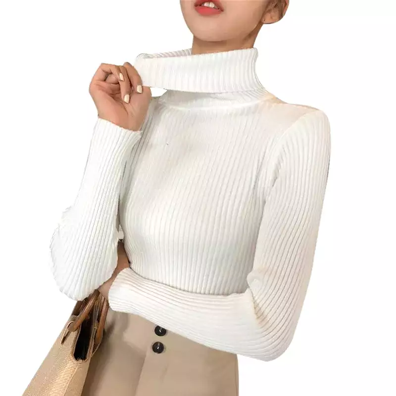 Knit Turtleneck Sweater