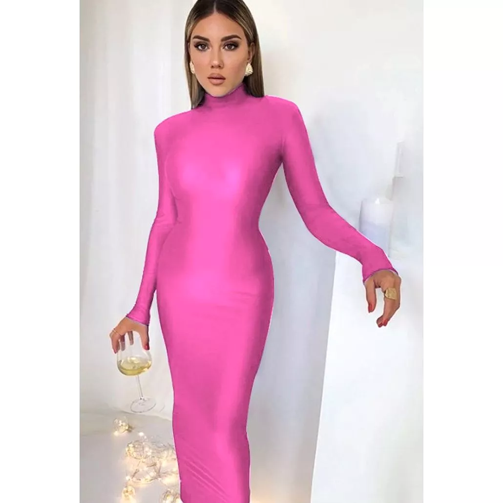 Long Sleeve Turtle Neck Dress