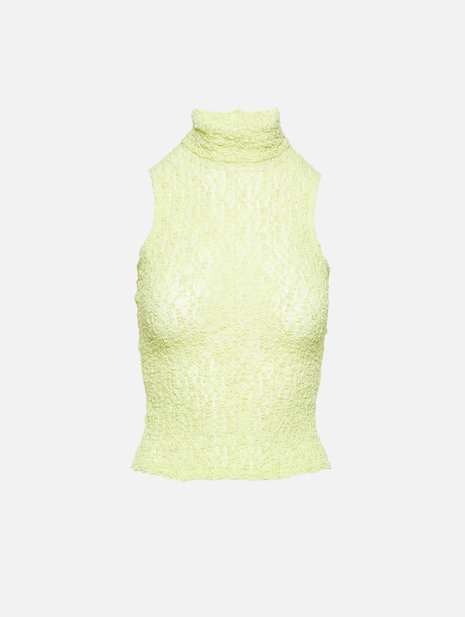 Mesh Turtleneck Top