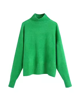 Soft Knitted Turtleneck Sweater