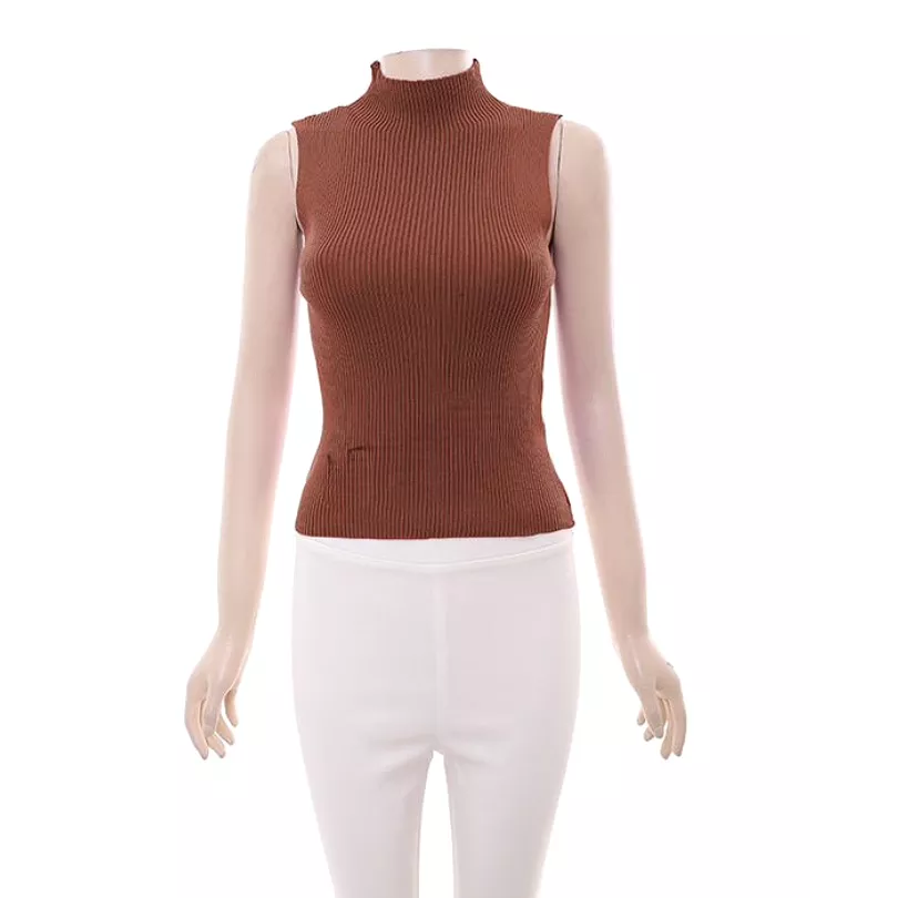 Turtleneck Sleeveless Top - Result: Sleeveless Turtleneck Top