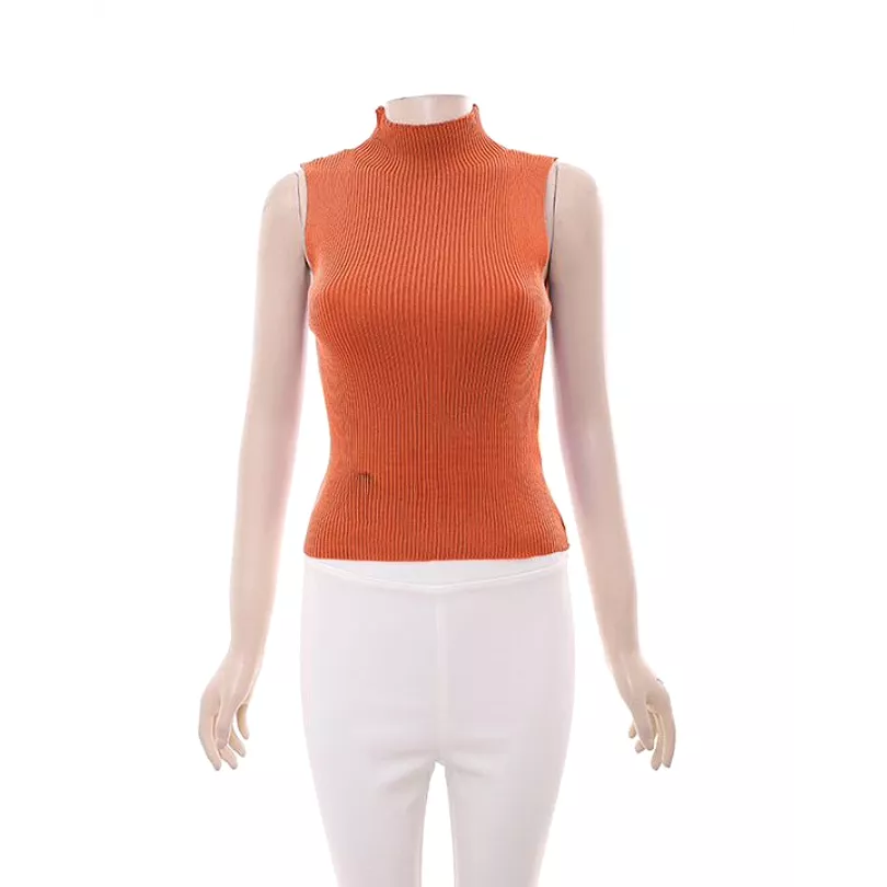 Turtleneck Sleeveless Top - Result: Sleeveless Turtleneck Top