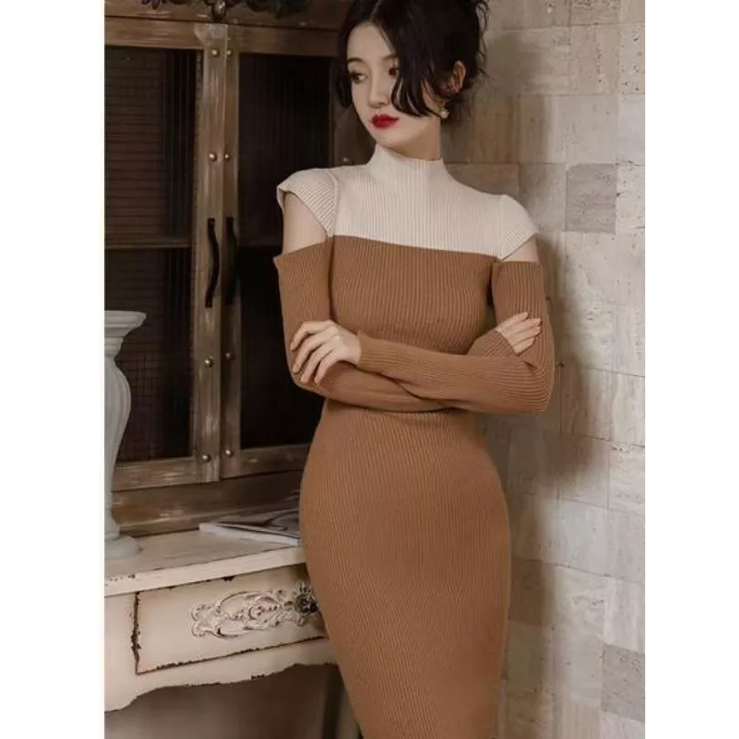 Women's Long Sleeve Turtleneck Dress